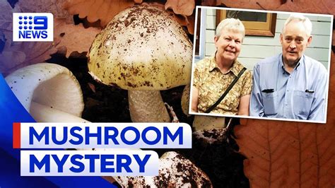 mushroom poisoning victoria update